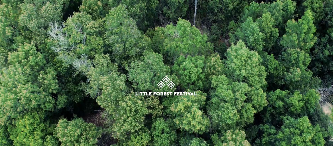 Little Forest Festival - Trees