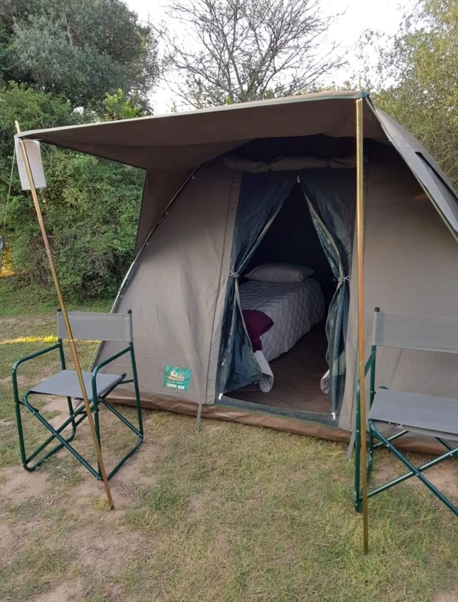 Glamping - Little Forest Festival - unshaded